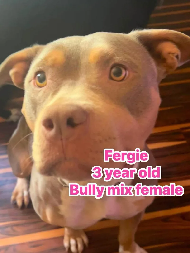 Fergie