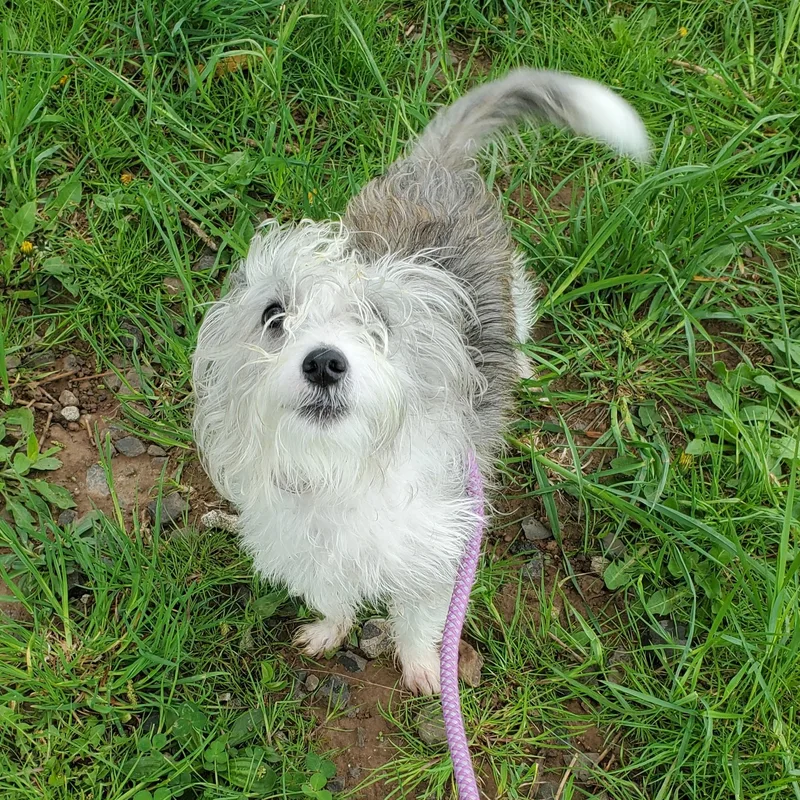 Magellan thumbnail 2