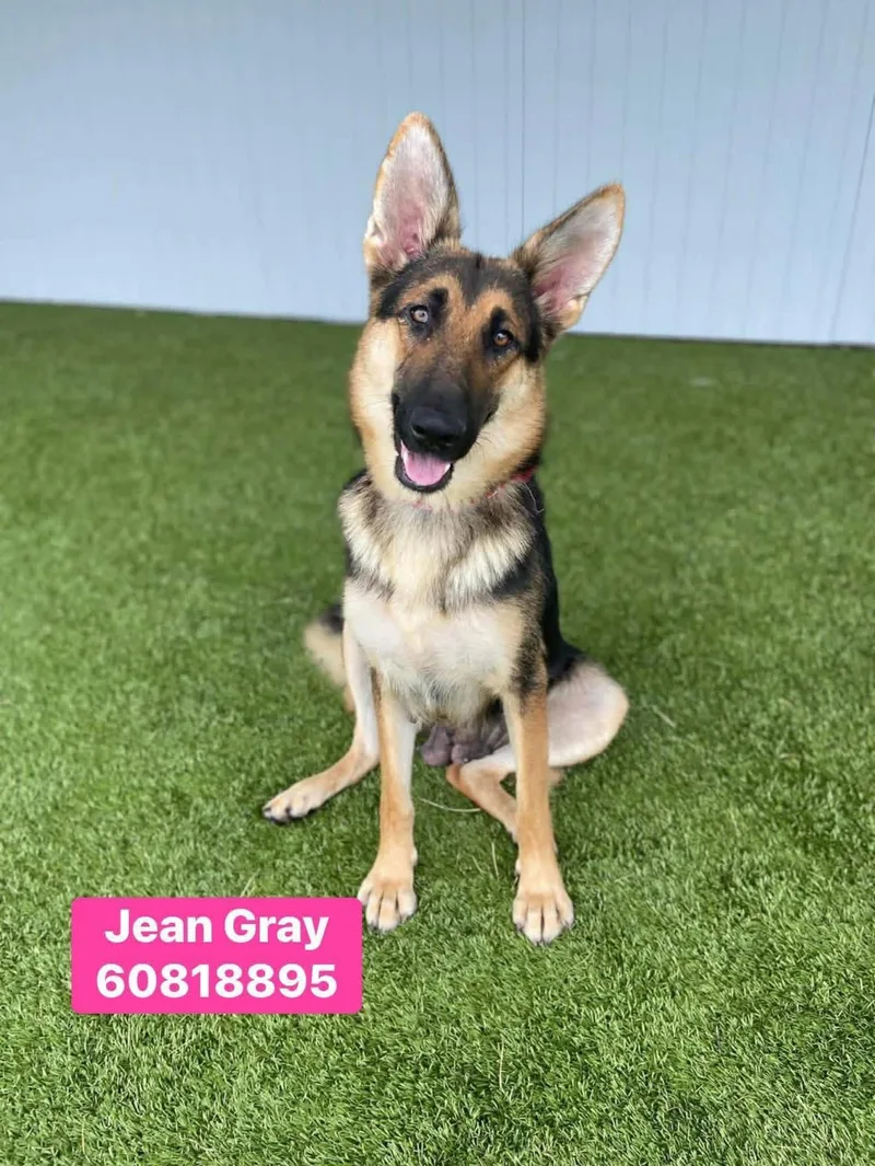 Jean Gray thumbnail 2