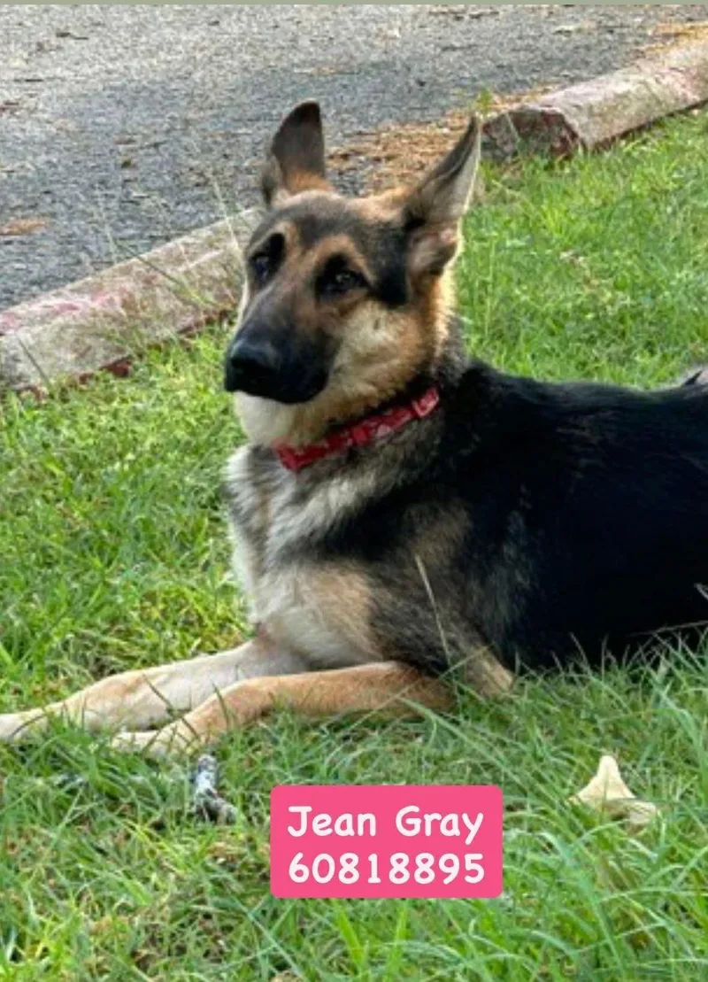 Jean Gray thumbnail 5