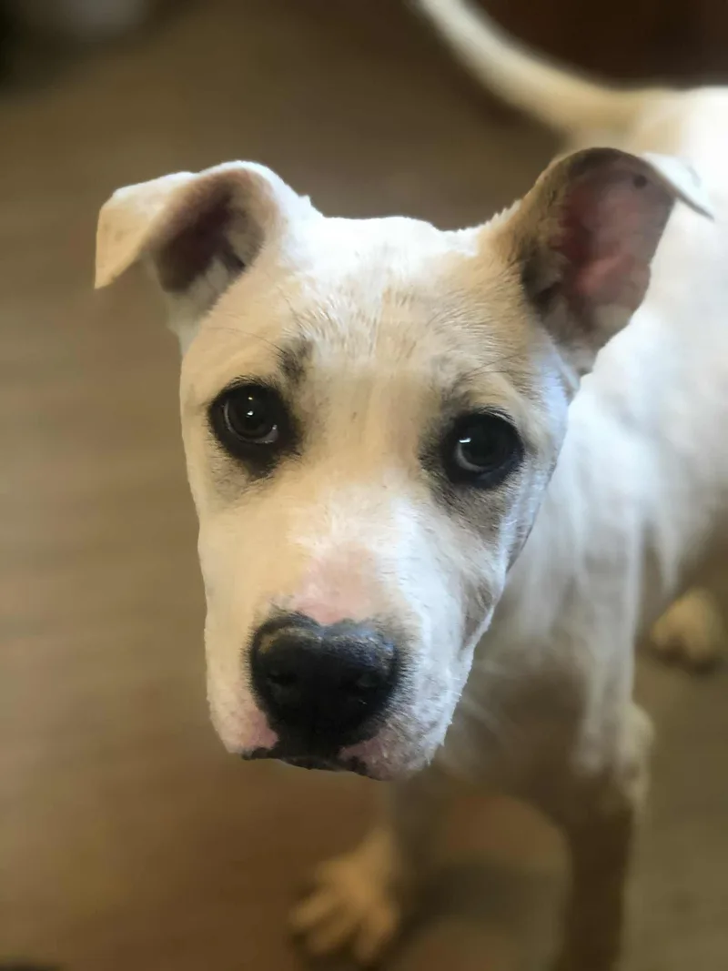 Gwen Snow thumbnail 2