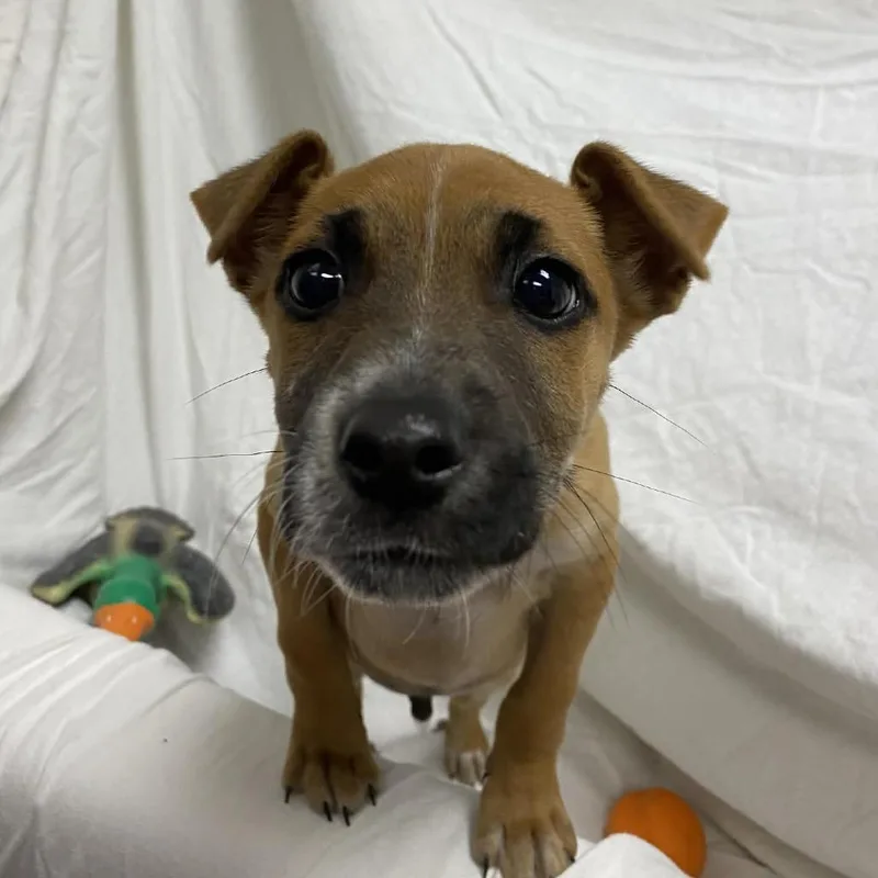 Marshall Tucker thumbnail 2