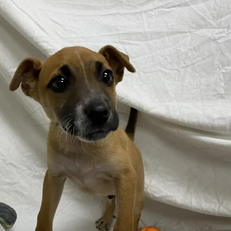 Marshall Tucker thumbnail 3