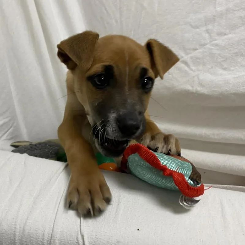 Marshall Tucker thumbnail 4