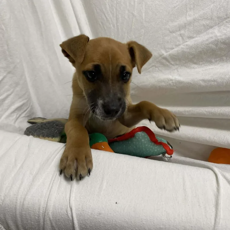 Marshall Tucker thumbnail 5