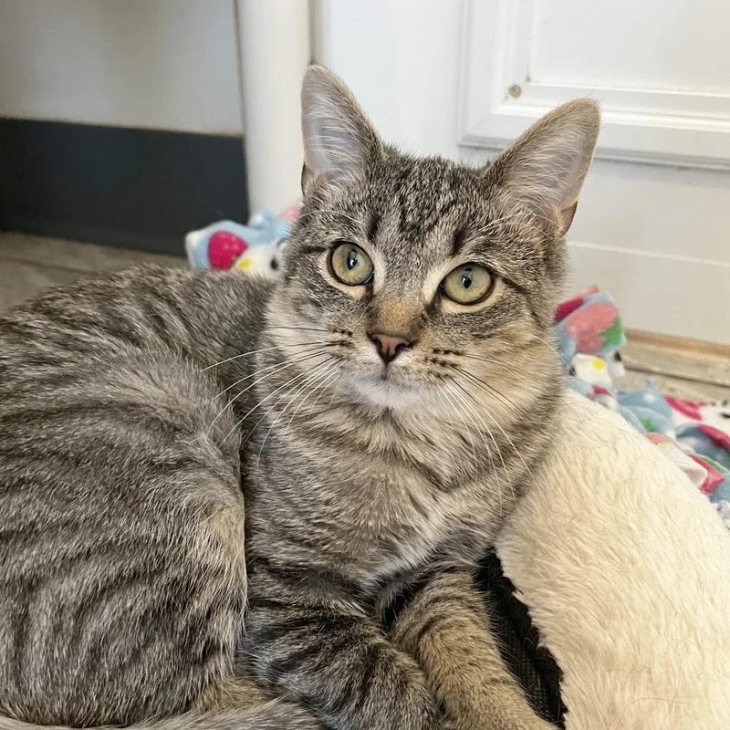 Lisa thumbnail 4