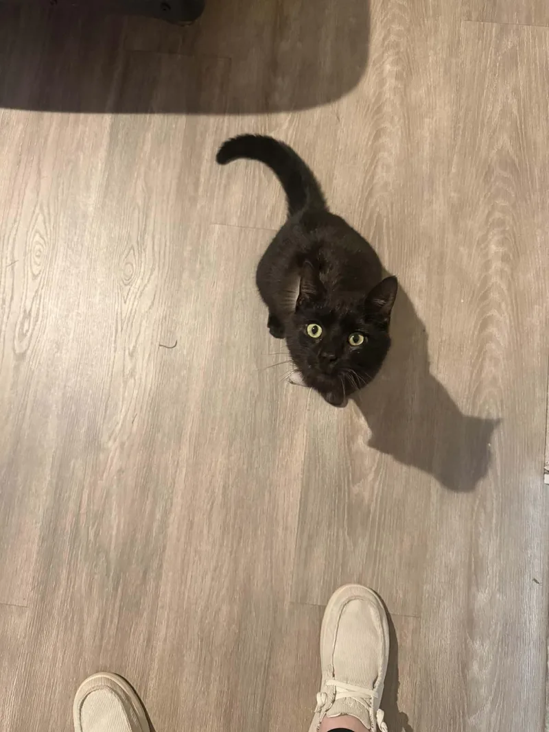 Jinx Milburn thumbnail 2