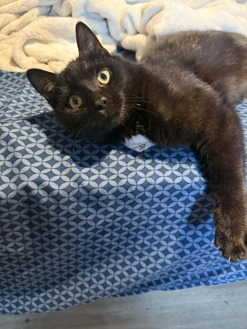 Jinx Milburn thumbnail 3