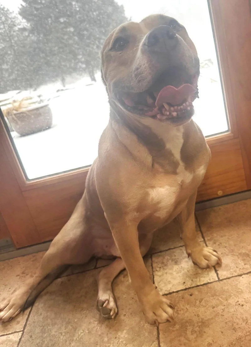 Xp Blue  Bangor thumbnail 3