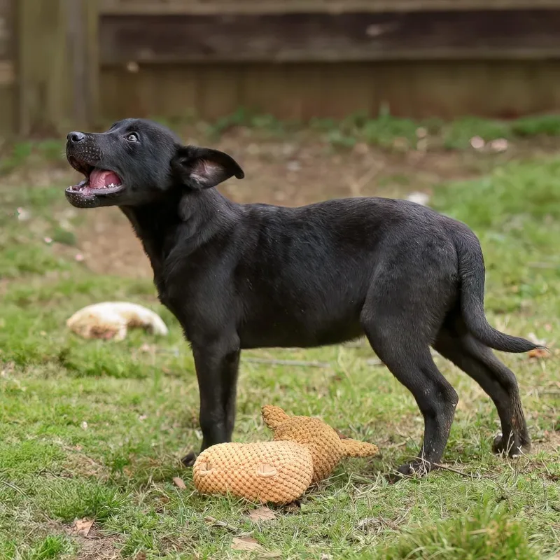 Francoise thumbnail 2