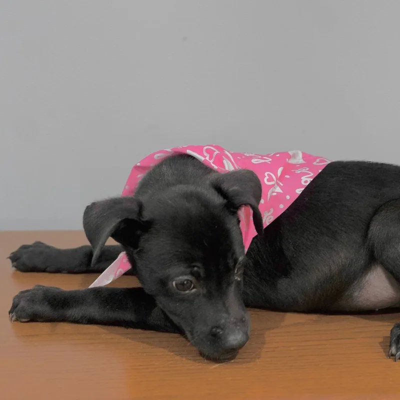 Francoise thumbnail 4