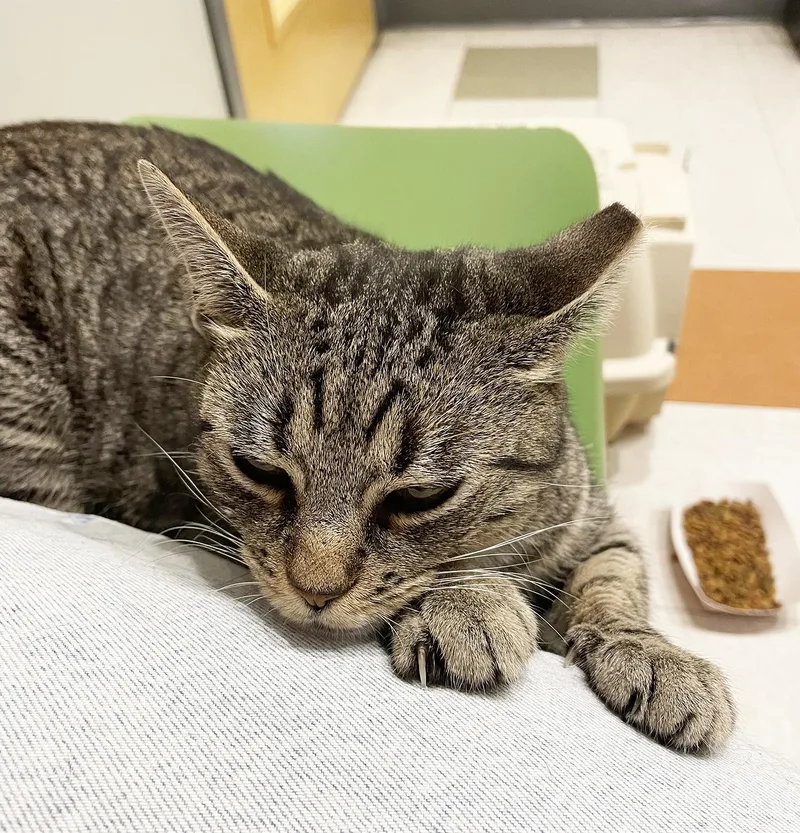 Minnie Cobb thumbnail 2