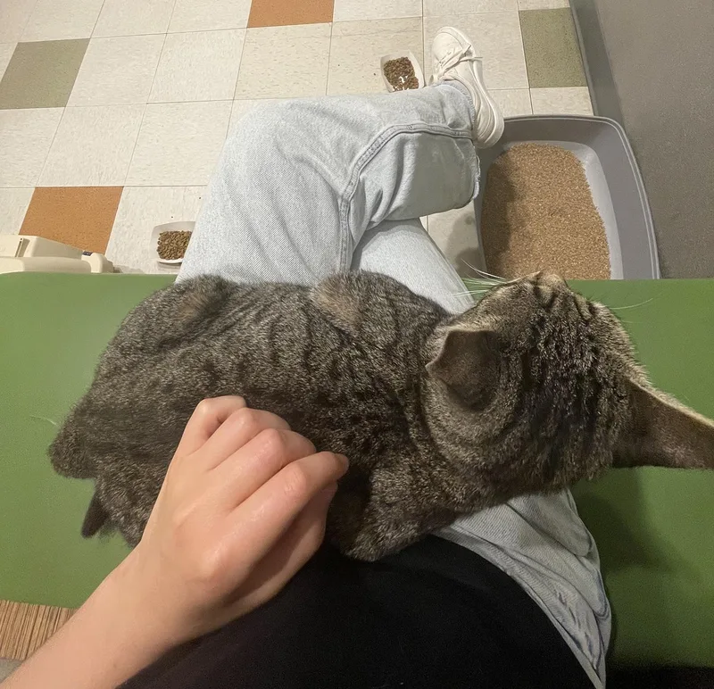 Minnie Cobb thumbnail 3