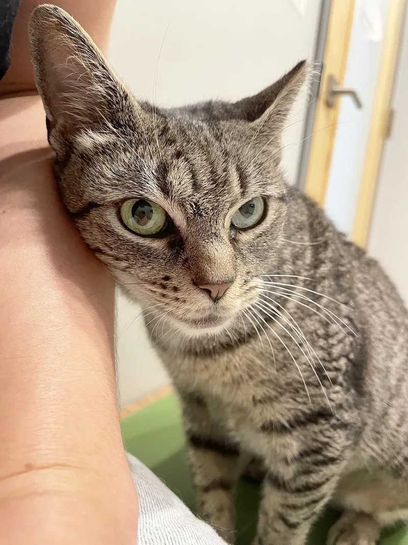 Minnie Cobb thumbnail 4