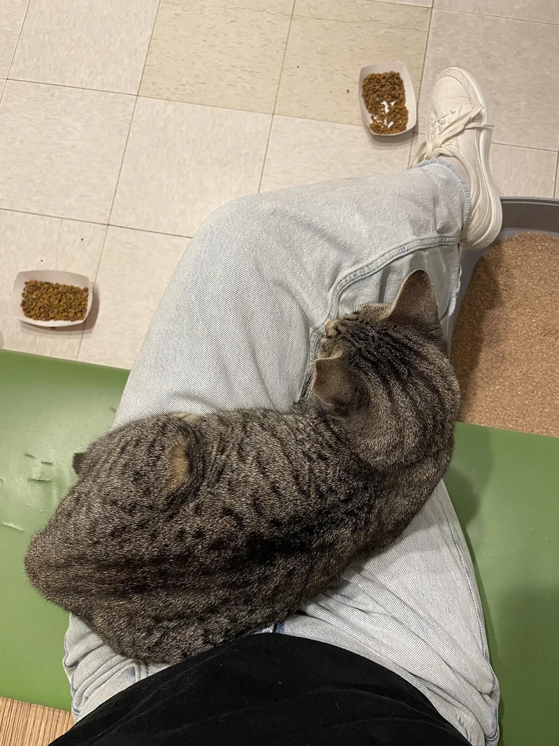 Minnie Cobb thumbnail 5