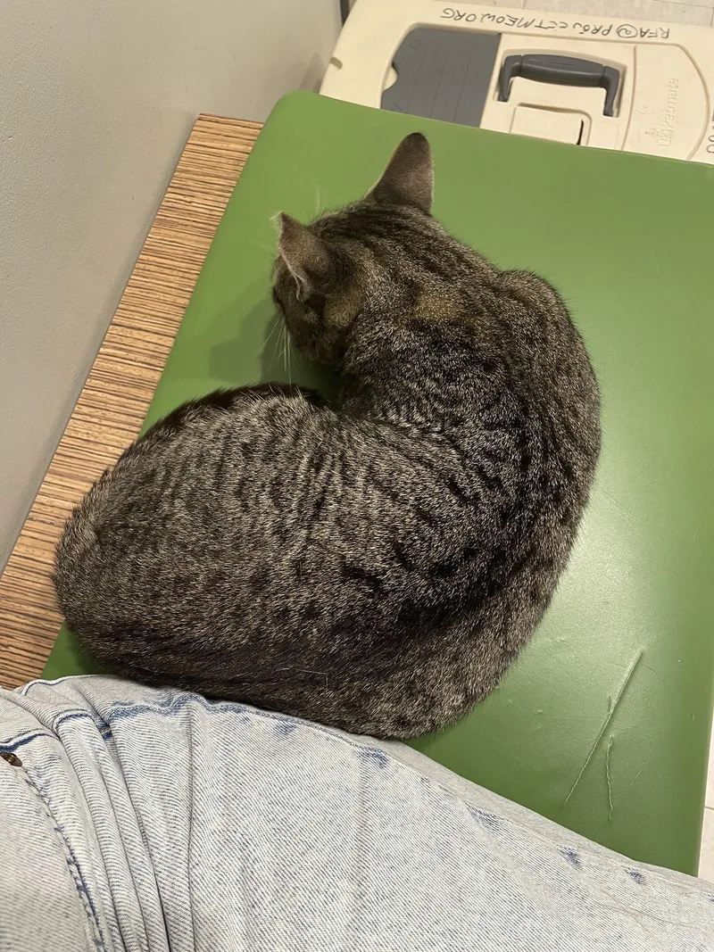 Minnie Cobb thumbnail 6