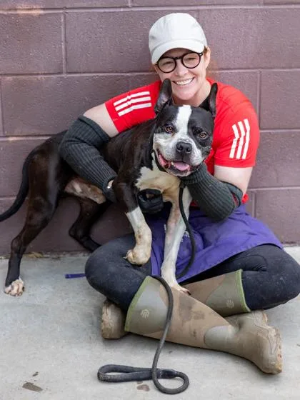 An adult large-sized male Mixed Breed dog named Burpie for adoption in Chamblee, GA