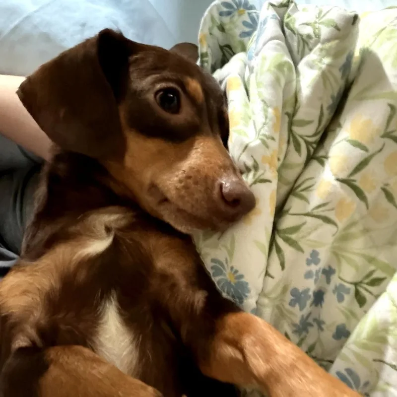 Minnie thumbnail 2