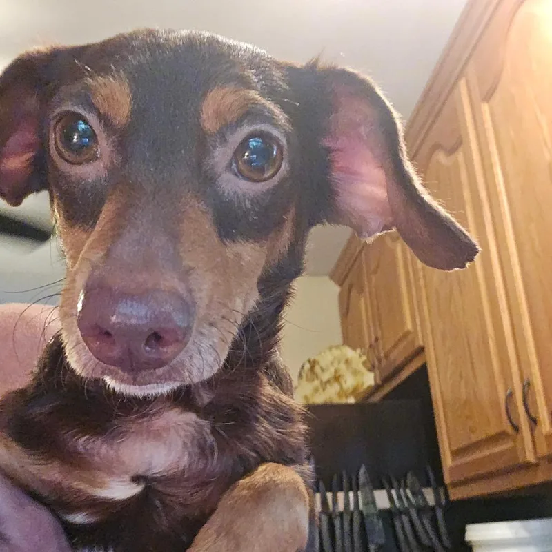 Minnie thumbnail 5