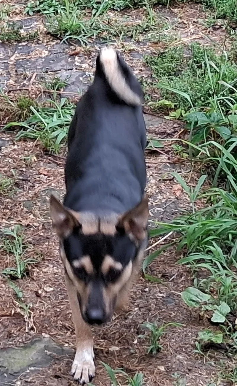 Bernie thumbnail 2