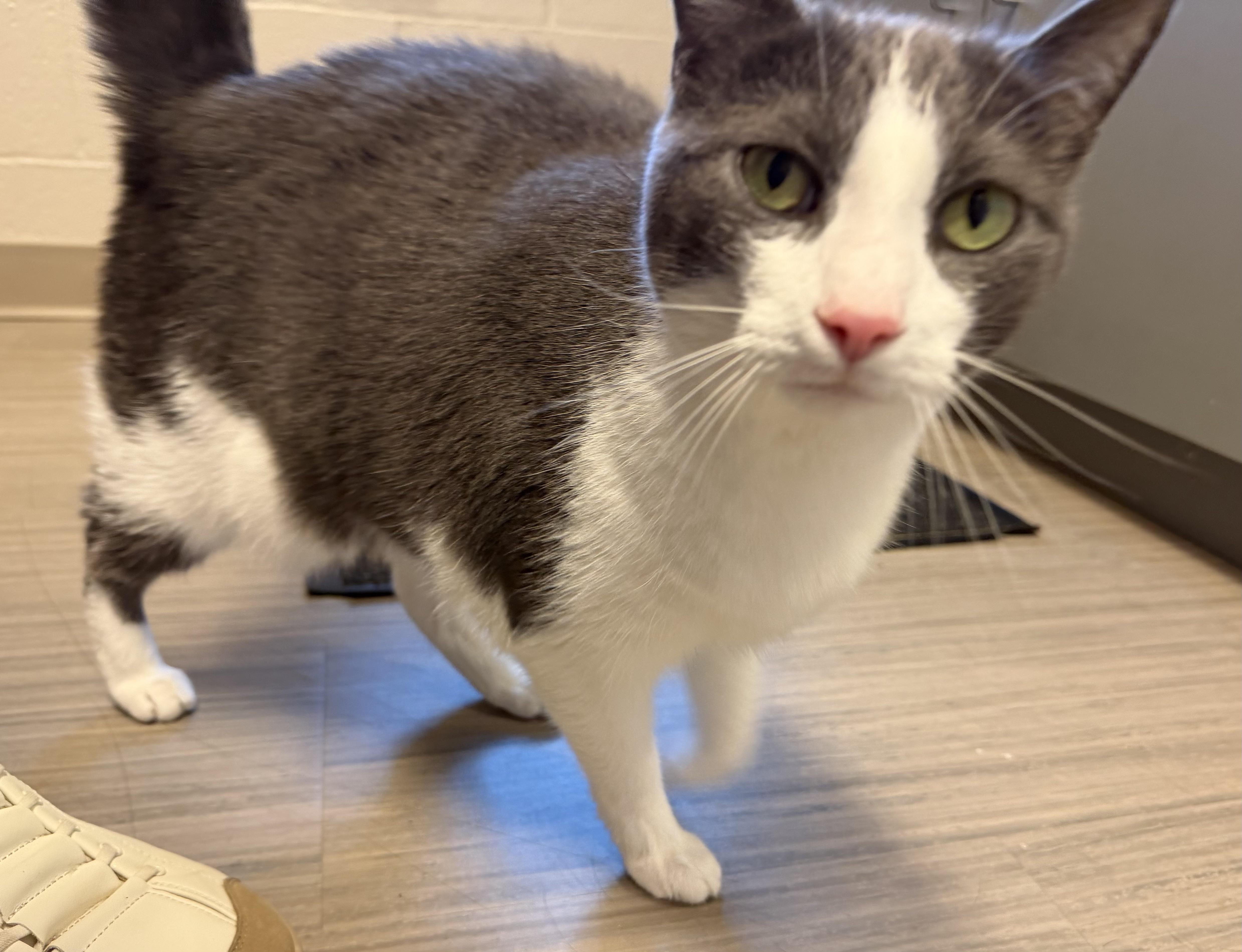 Maggie thumbnail 2