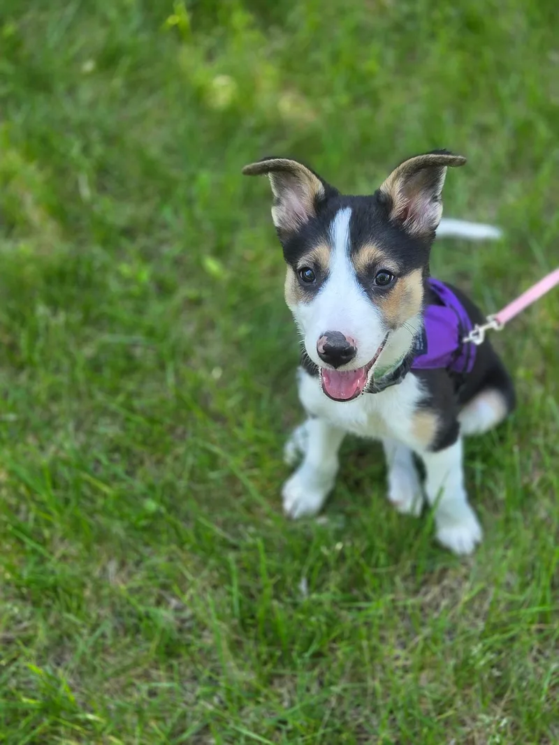 Madison thumbnail 2