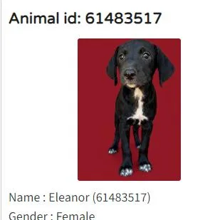 Eleanor