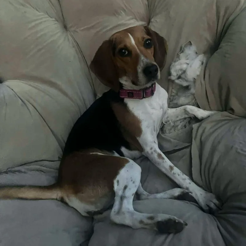Charlie