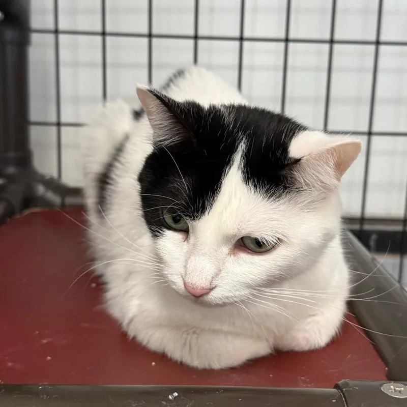 Samantha thumbnail 3