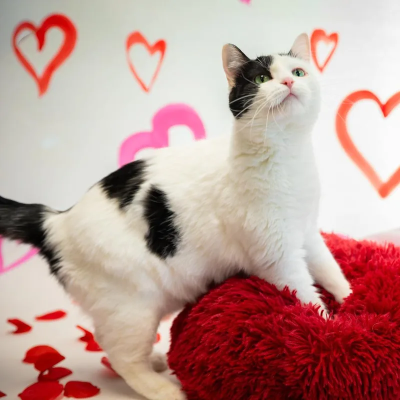 Samantha thumbnail 4