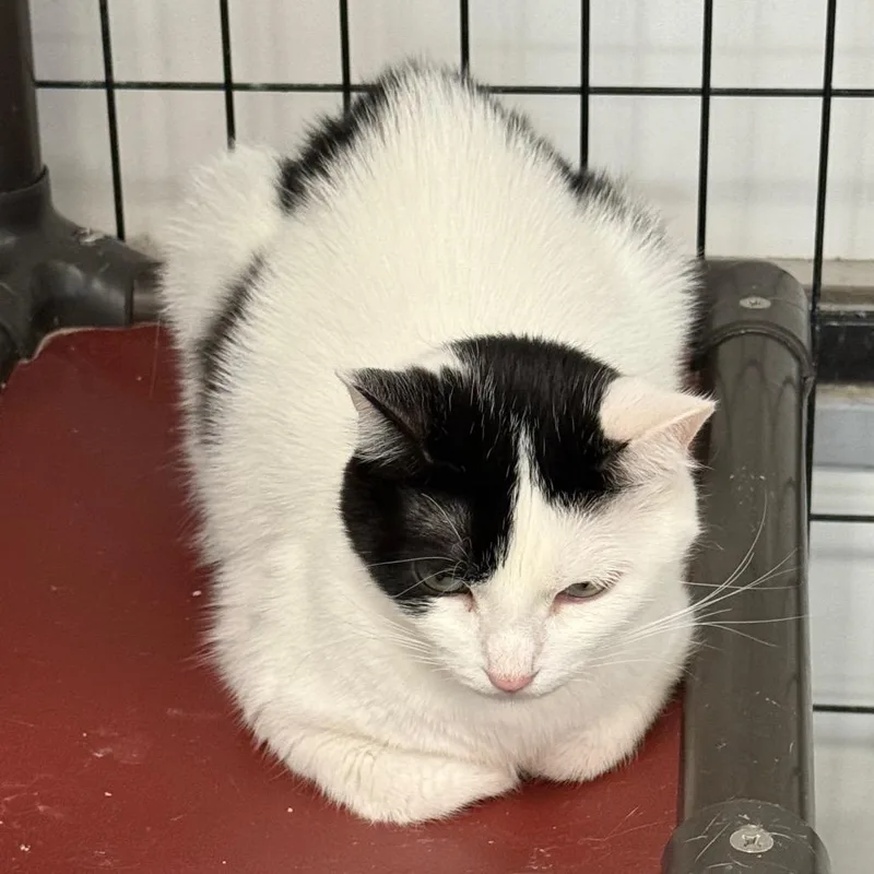 Samantha thumbnail 5