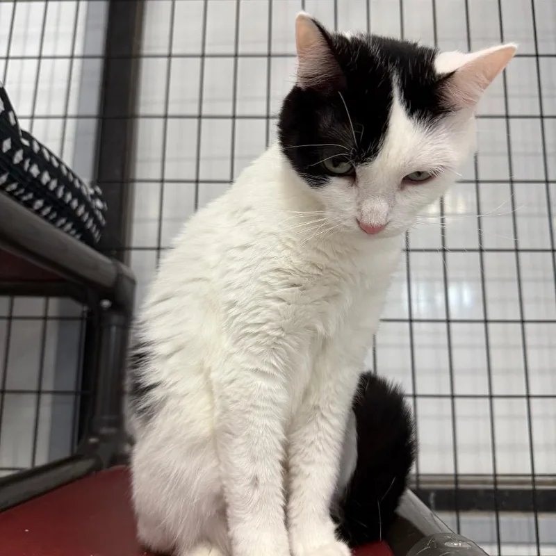 Samantha thumbnail 6