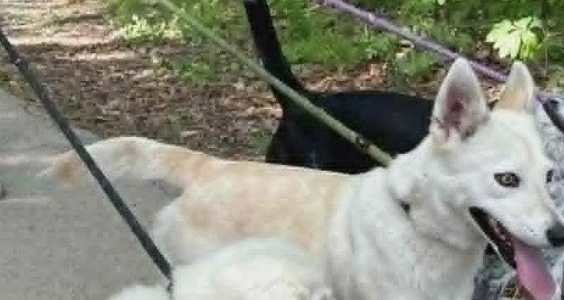 Heather thumbnail 2