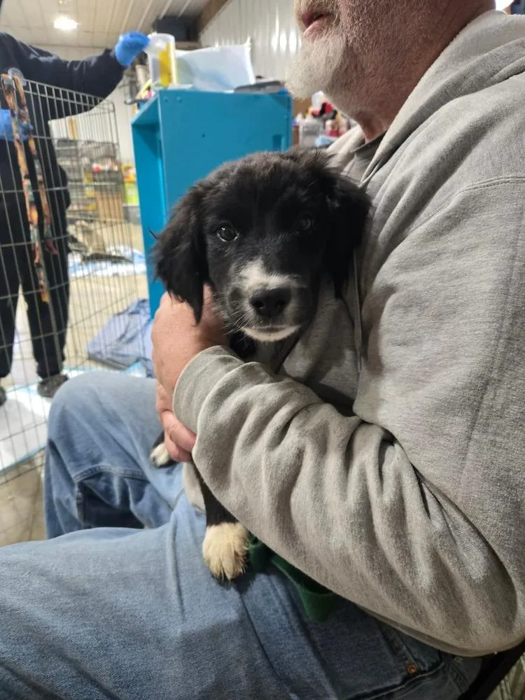 Jelly Beans thumbnail 2