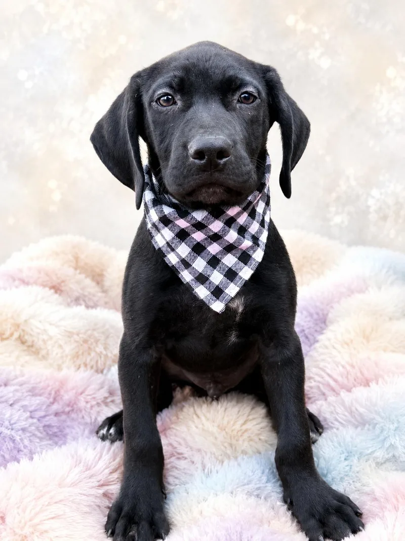 Tucker