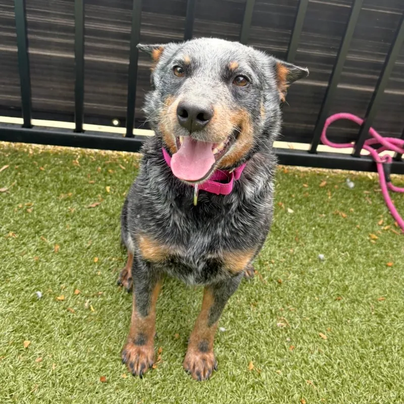 Vegemite thumbnail 3