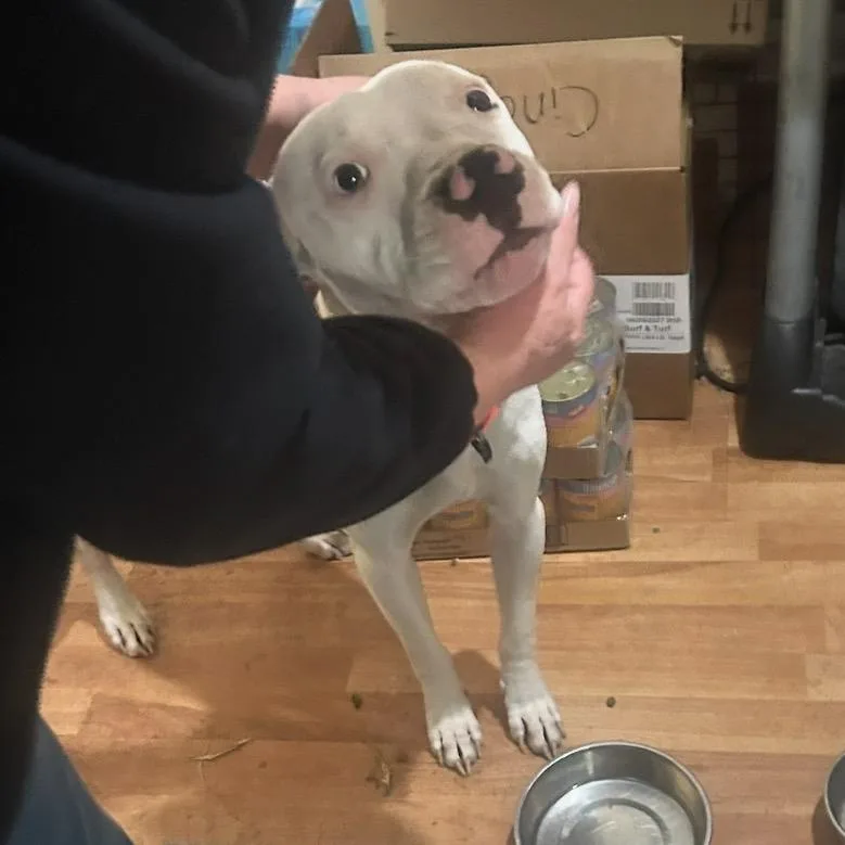 Mary Lou thumbnail 2