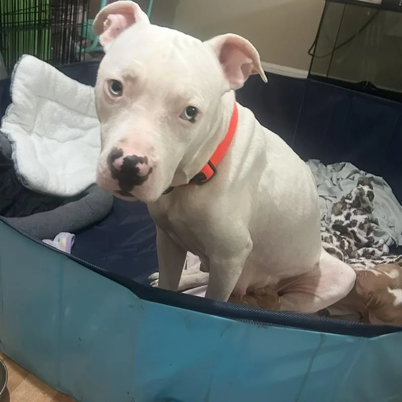 Mary Lou thumbnail 3