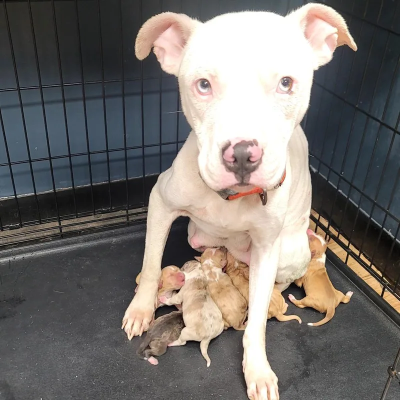 Mary Lou thumbnail 4