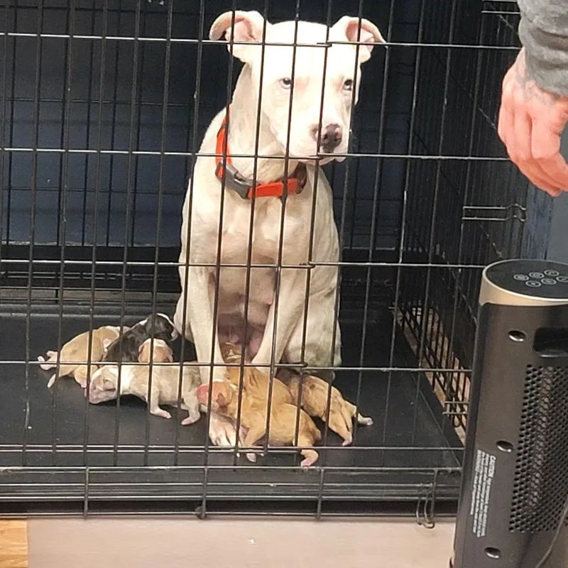 Mary Lou thumbnail 5