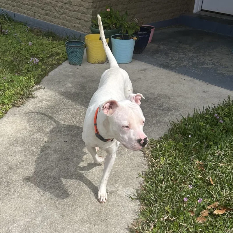 Mary Lou thumbnail 6