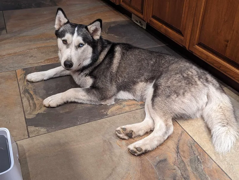 Stella thumbnail 5