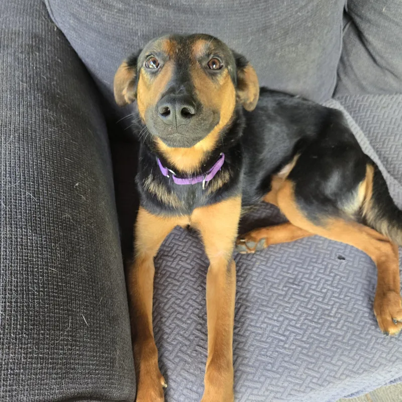 Sophia Hadsell thumbnail 2