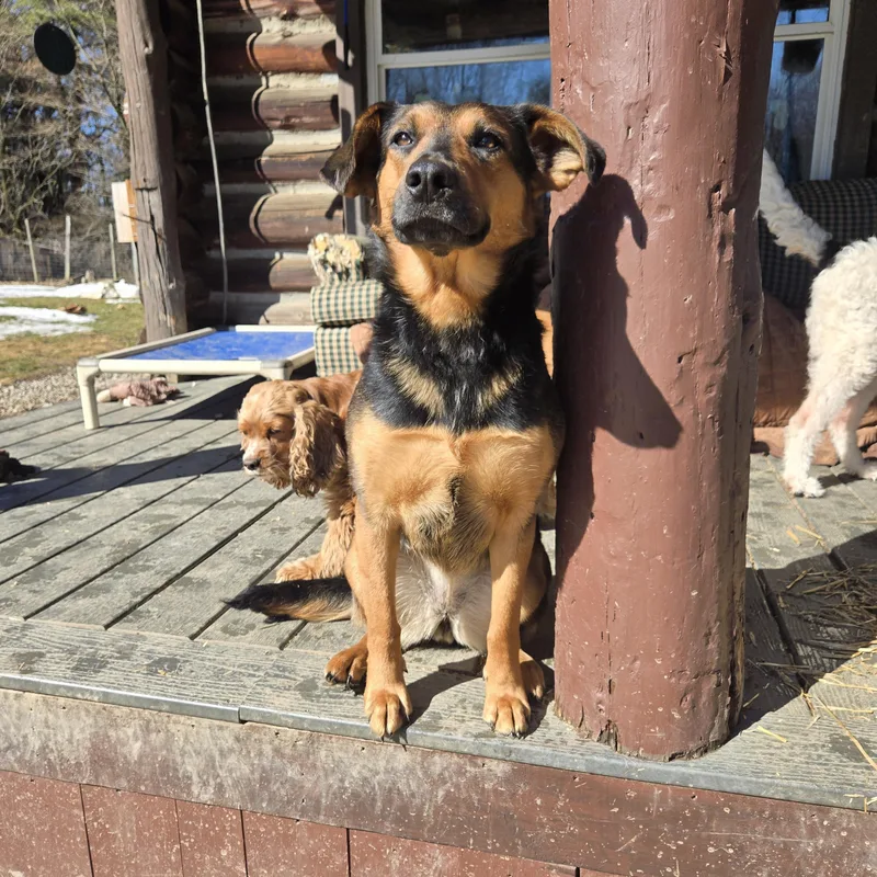 Sophia Hadsell thumbnail 3