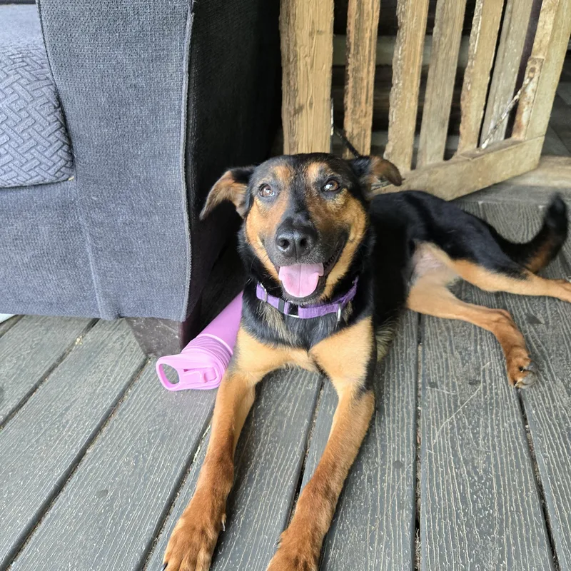 Sophia Hadsell thumbnail 5