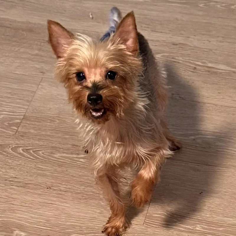 Tessa thumbnail 3