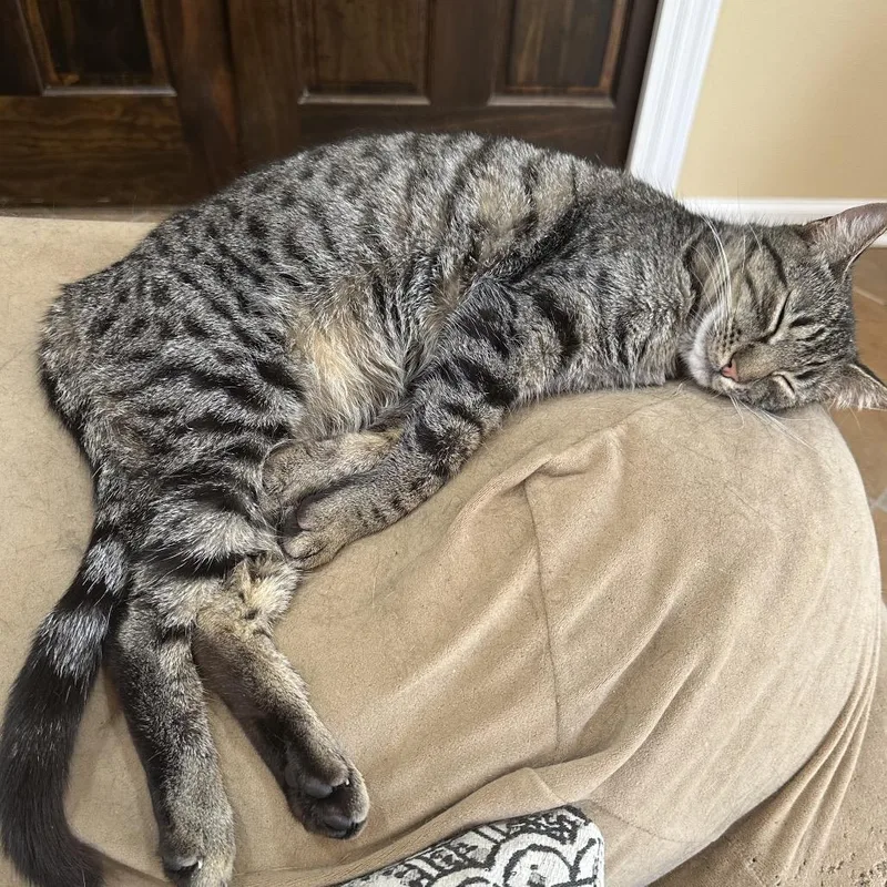 Marley  Ox Bottom thumbnail 6