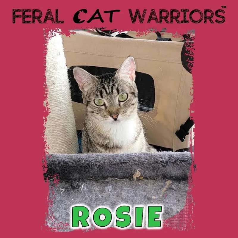 Rosie