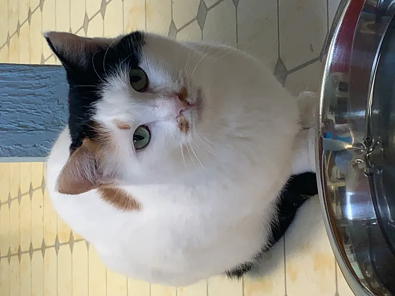 Keelanvery Shy thumbnail 4