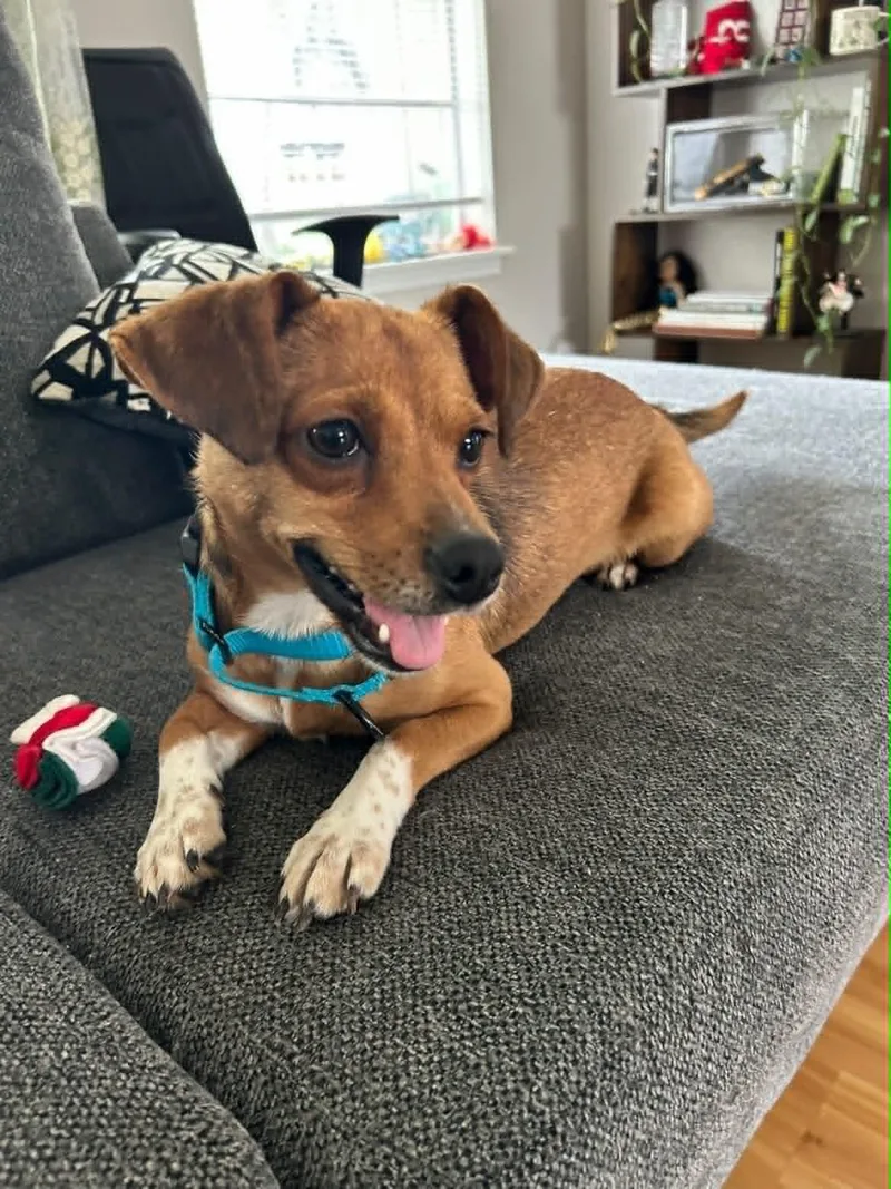 Penny